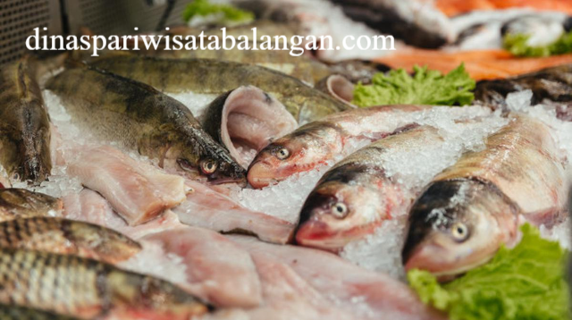 Wisata Kuliner Ikan Air Tawar yang Segar